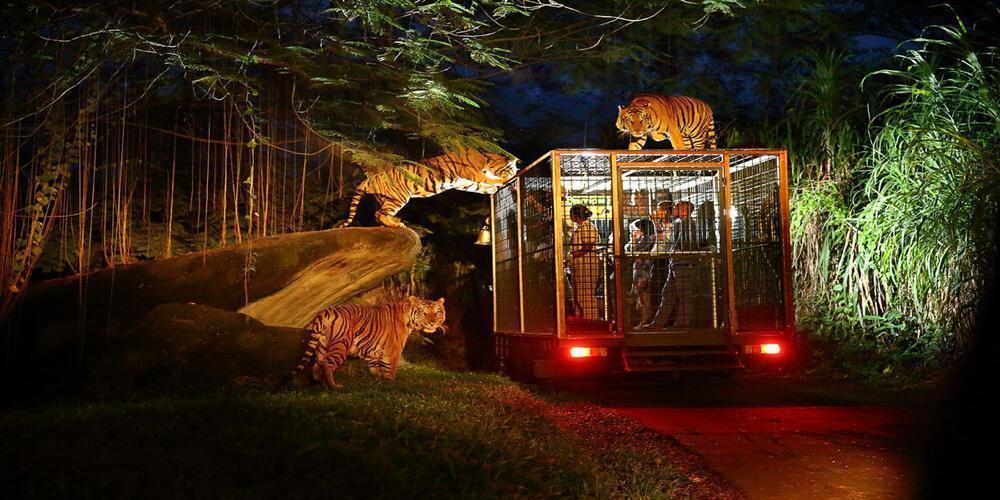 Night Safaris and Wildlife Tours in Nairobi National Park