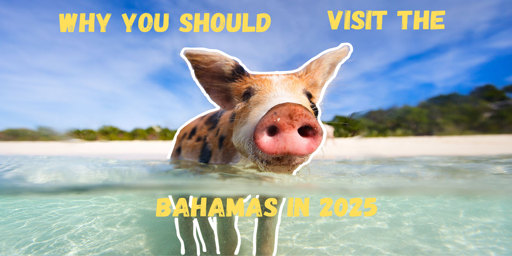 Why You Should Visit the Bahamas in 2025