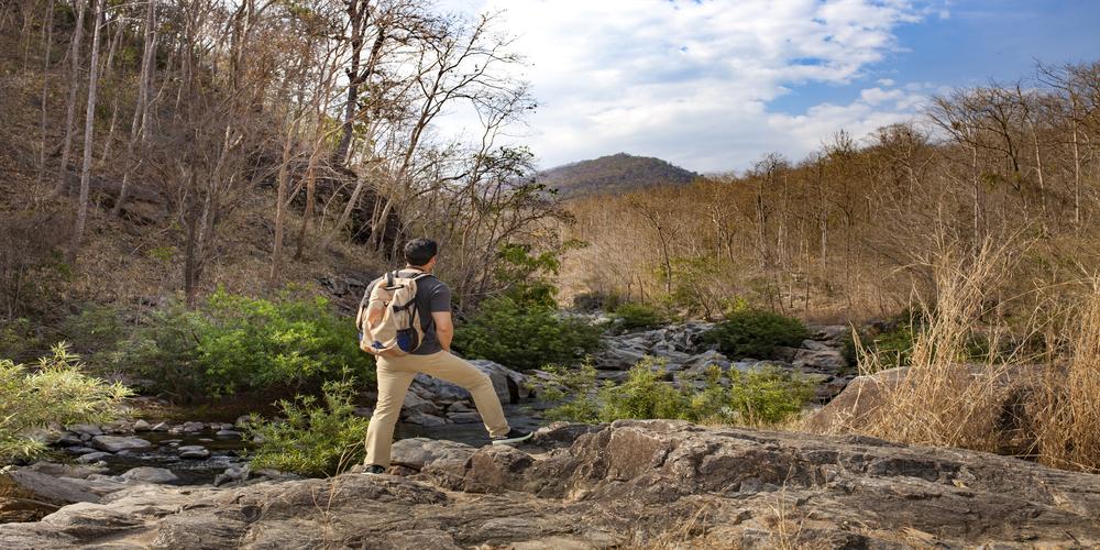 Top Hiking Trails in Los Angeles with Stunning Views