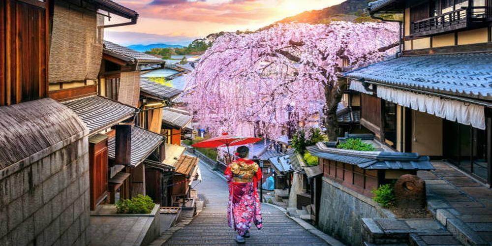  Solo travel guide to Japan | Japan tours, culture and cuisine