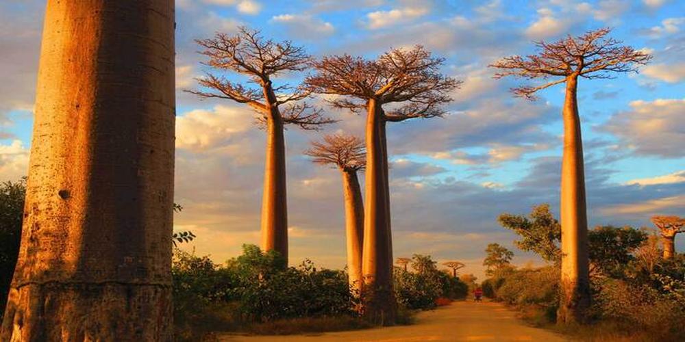 Top 10 Must-See Natural Wonders of Madagascar 
