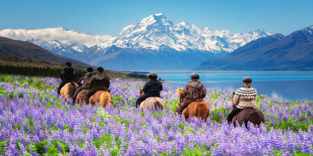 Tourist Attractions to visit in New Zealand