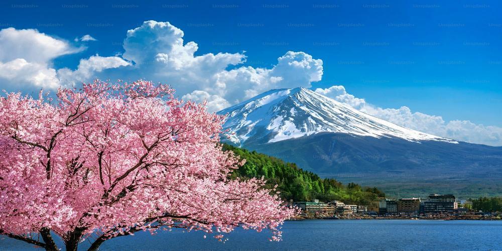 The Best places to see Cherry Blossoms in Japan
