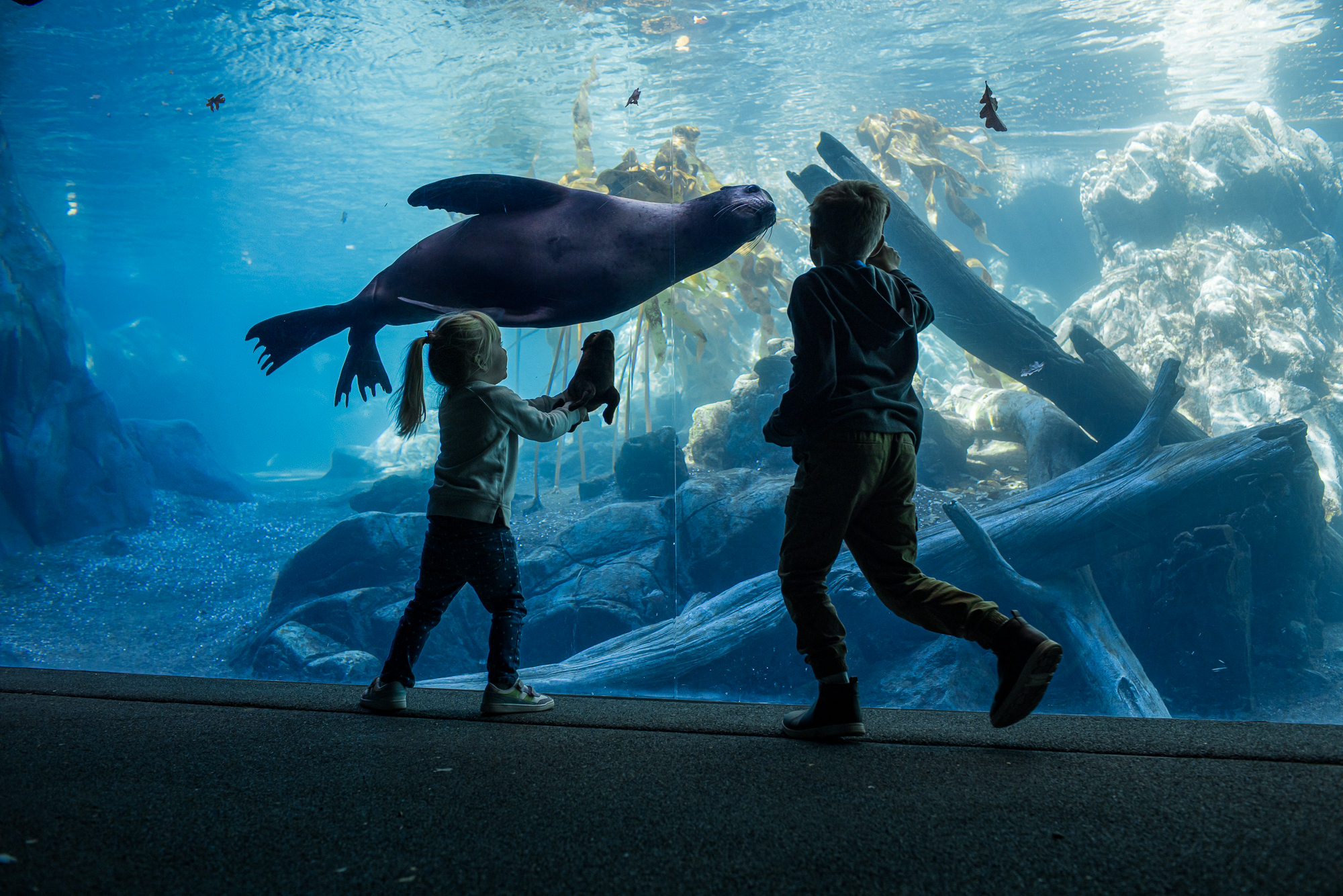 Omaha's Henry Doorly Zoo and Aquarium (Omaha)